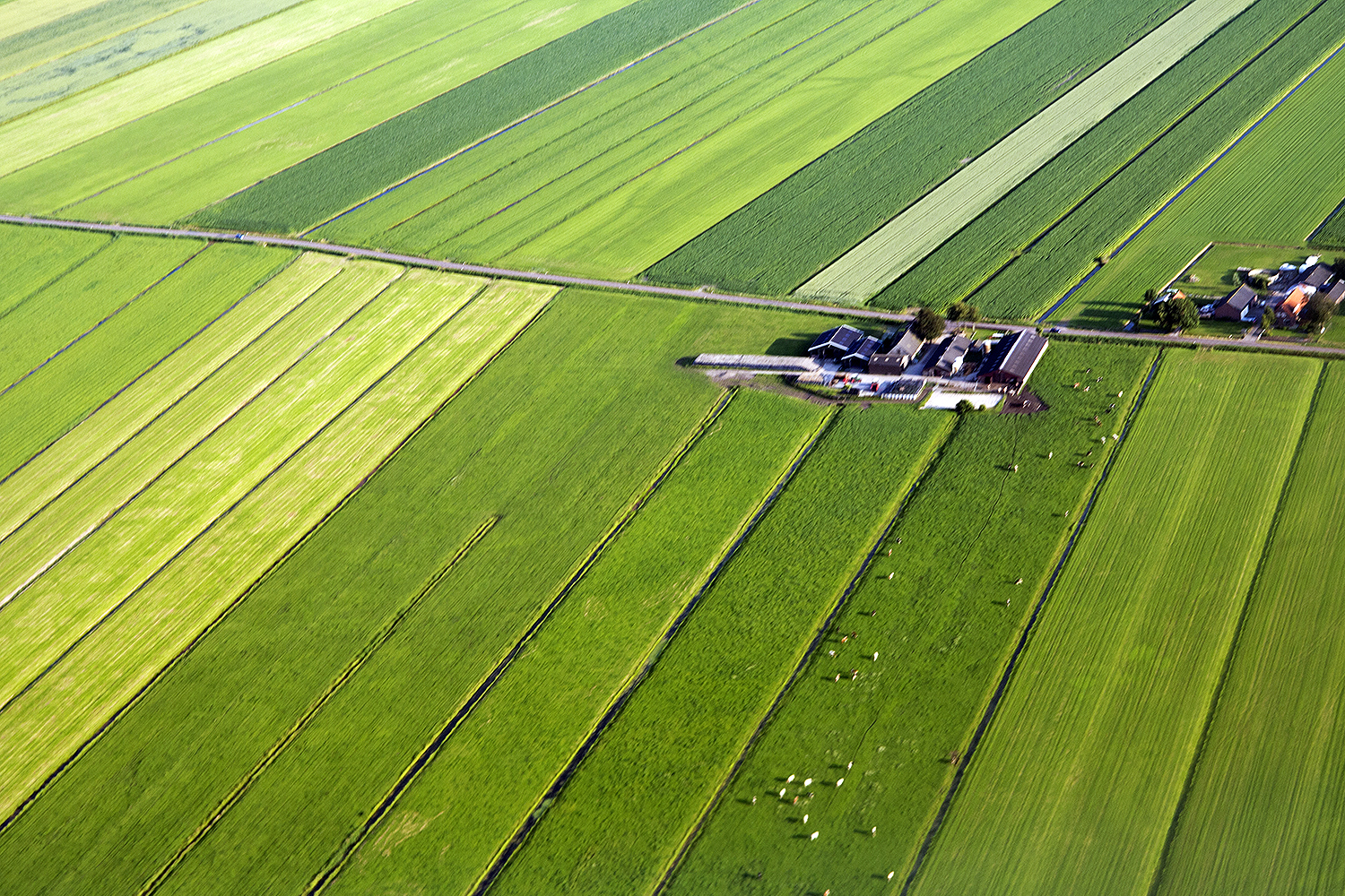 Afrekenbare stoffenbalans: Ondernemerschap voor een duurzame landbouw