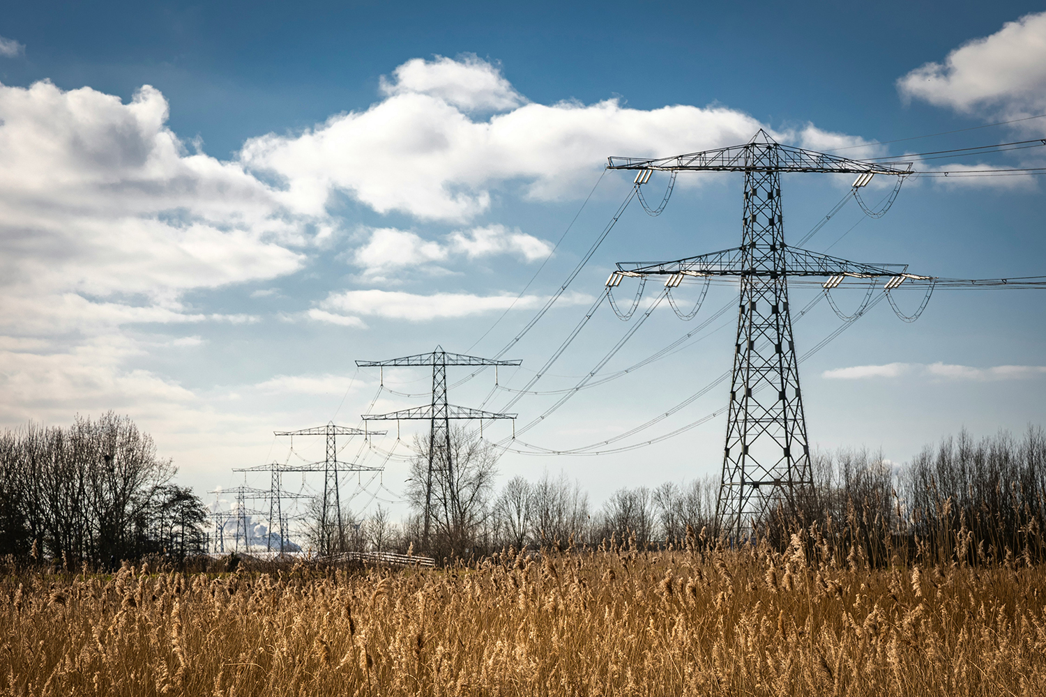Inbreng op het Liberaal Manifest voor energie